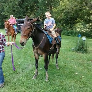 Meet your Posher, Tammy